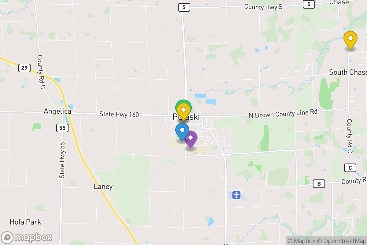 Map of Pulaski Community School District